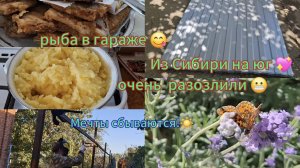 Переезд из Сибири на юг 💖/ Купили дом на юге ☀️/ Профлист/ Рыба жареная/Варим забор/Обзор/