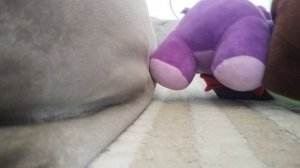 застрявшая жопа