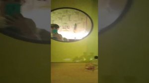 обзор на квартиру