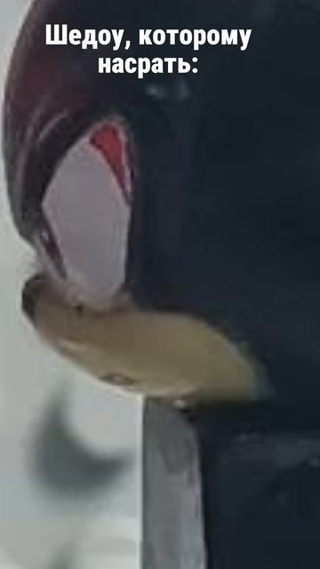 Лего Соник мем