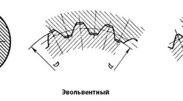 ЭВОЛЬВЕНТНЫЙ ШЛИЦ КАРДАНА