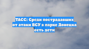 ТАСС: Среди пострадавших от атаки ВСУ в парке Донецка есть дети