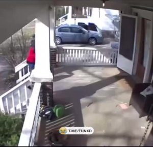 Не бойтесь, он не кусается!😄