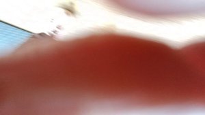 Встреча с английским бульдогом