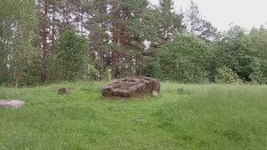 Загадочный камень 🫣