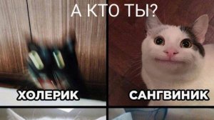 Смешные видео с кошками и собаками (Подборка №36)