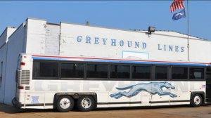 Why Black Babies Have Blue Eyes & Other U.S. Transportation Experiences