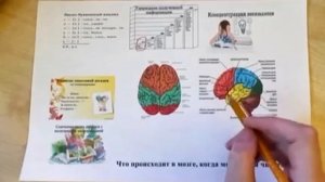 Организация мозговой структуры чтения