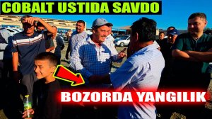 Xorazm mashina bozor 07.09.2025