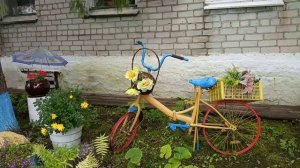 В ДЕТ -  САД / СЫН привёз