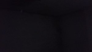 н.Сотникова 16