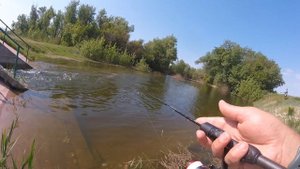 Такой рыбалки у меня ещё не было! Мормышинг на течении в деле.