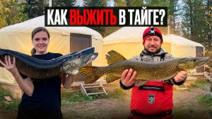 КАК ВЫЖИТЬ В ТАЙГЕ? / ЮРТЫ СИБИРИ СТРОИТЕЛЬСТВО ГЛЕМПИНГОМ / Глемпинг под ключ