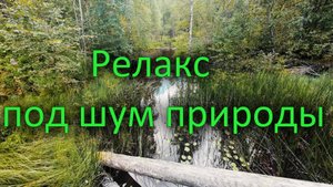 Релакс под шум природы