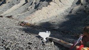 Дети на пляже