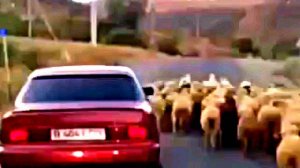 НУ ДАВАЙ ЗАЛЕЗАЙ СЮДА