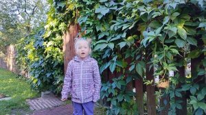 Николай Рубцов "Коза".