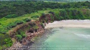 Успокаивающая музыка для нервов  лечебная музыка для сердца и сосудов, релакс, музыка для души #8