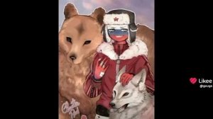 мои види из лайка которые мне нравитца