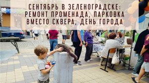 Зеленоградск: что изменилось за год? Ремонт променада, парковка вместо сквера, День города