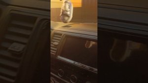 VW T6