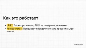 Влияние пептида cPIP2 и розувастатина на сигнализацию TLR4 и ремоделирование сердца в модели ОИМ