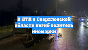 В ДТП в Свердловской области погиб водитель иномарки