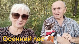 ✅СНОВА В ЛЕСУ🌲🌳ОСЕННИЕ КРАСКИ🍂🍂 ЧУТЬ НЕ УБЕЖАЛА🐕