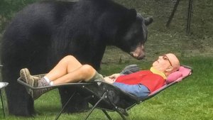 😂Самые смешные видео про животных 2025 года заставят вас смеяться до упаду 😂