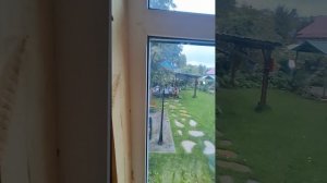 1000033922.mp4 (Собака наблюдает за устройством откосов у оконных и дверного проёмов в доме А-фрейм)