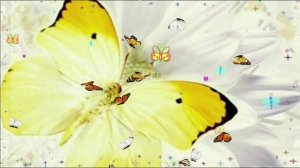 8 сентября Натальин День 💛 Поздравляю