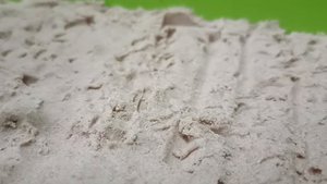 1 день глазами Красавца