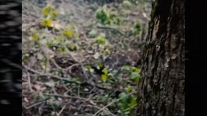 ИСТОРИЯ ОДНОЙ ЗАДАЧИ 2.0 ТИЗЕР 4 СЕРИИ