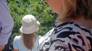 Что за кустарник?