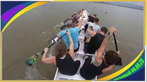 Треня Косатка, 06.09.25, дракон 8 местный