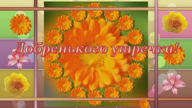Доброе утро! Просыпаемся, улыбаемся, встречаем новый день!  #утро #доброеутро  #сдобрымутром