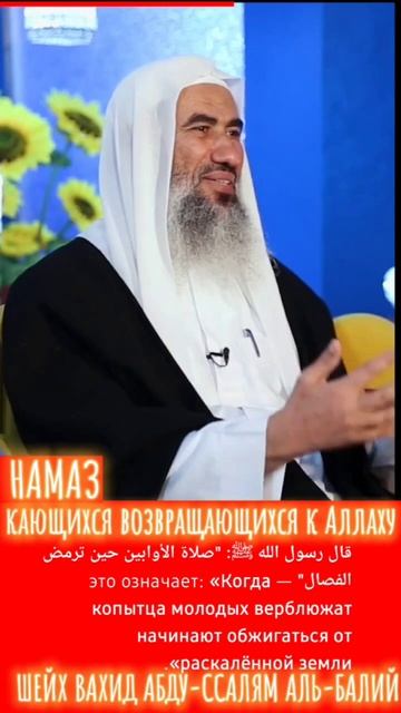 МОЛИТВА ОСОЗНАВШИХ СВОИ ГРЕХИ И ОШИБКИ КАЮЩИХСЯ.НАМАЗ ДУХА.