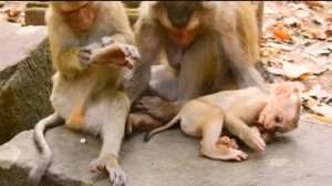 В кругу старших родственниц Лили  чувствует себя расслабленной и раскрепощённой 1000032836.mp4