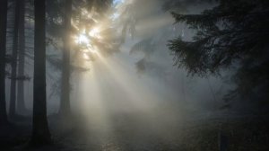 Откровенный призрачный свет души