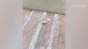 Лучшие неудачи на работе | кошмар для hr 😀