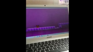 СЕГОДНЯ КОРОТЕНЬКОЕ ВИДЕО:)))))))