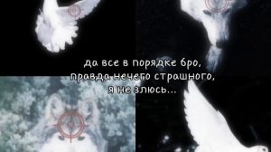 Звери под прицелом тренд. ну кто знает тот знает, тренд конечно прошел ну нечего 😋