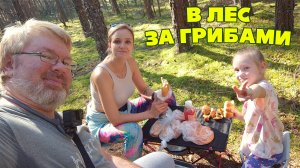 ОТДЫХ НА ПРИРОДЕ. В лес ЗА ГРИБАМИ с СЕМЬЁЙ