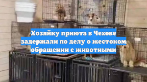 Хозяйку приюта в Чехове задержали по делу о жестоком обращении с животными