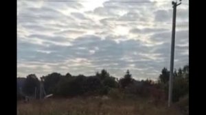 Кур_стайк_дерев_070925