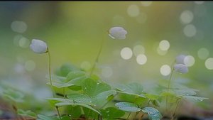 🪄Мантра релакс  успокаивает нервную систему 🧘♀️