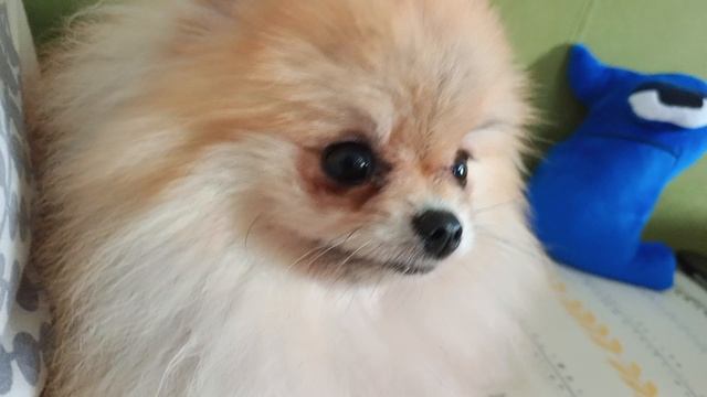 Лилу 5 серия смотреть онлайн