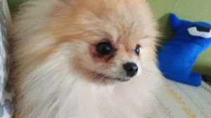 Лилу 5 серия