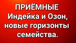 Приёмные/Обзор.