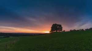 МУЗЫКА ДЛЯ ДУШЕВНОГО ПОКОЯ. МЕЛОДИЯ, КОТОРАЯ ПОМОГАЕТ УСНУТЬ